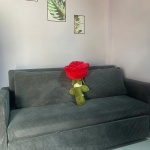 Sofa giường kéo 1