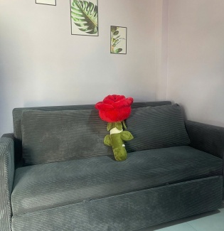 Sofa giường kéo 1